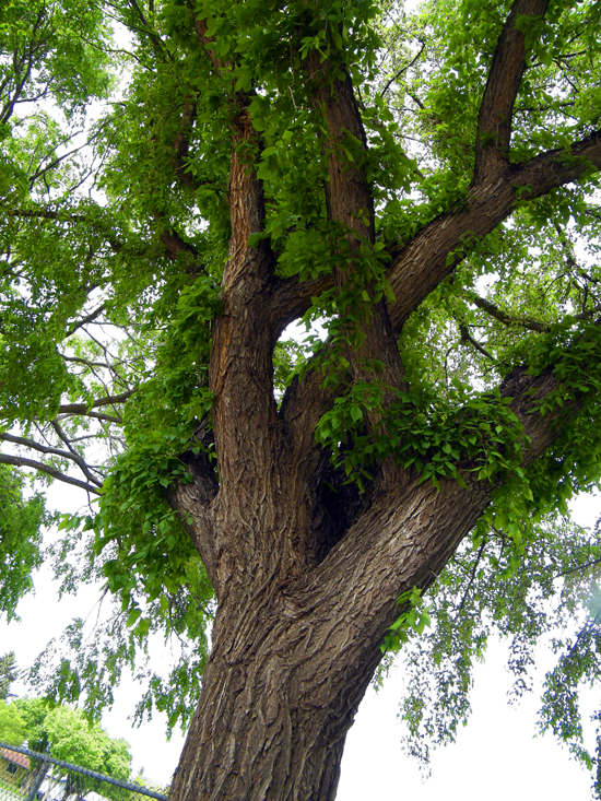 DSCF9670=0.jpg