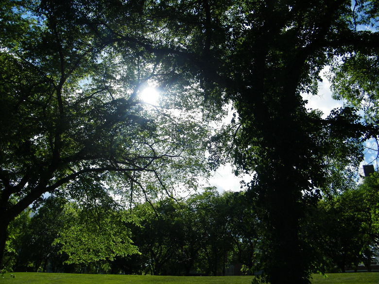 DSCF0026.JPG