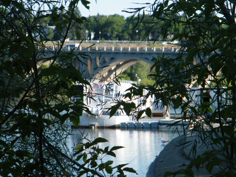 DSCF1648.JPG