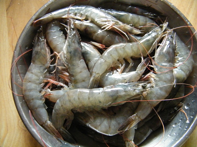 DSCF3437.JPG