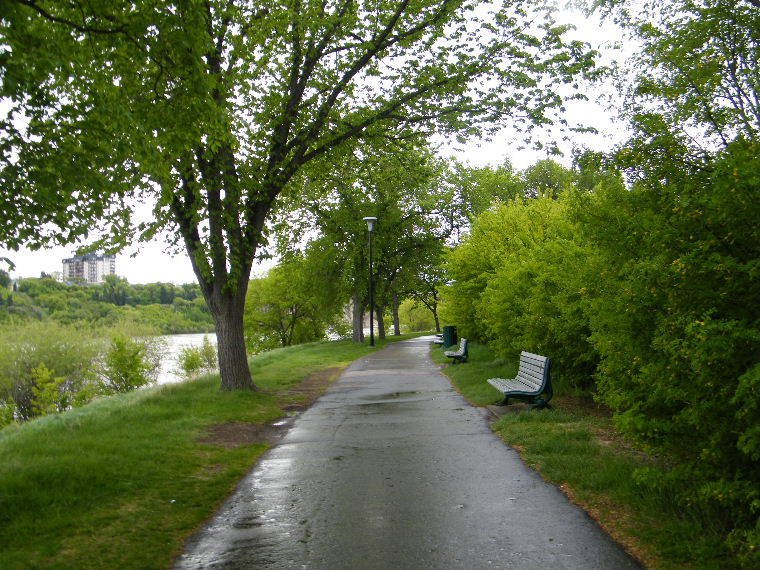 DSCF9480.JPG