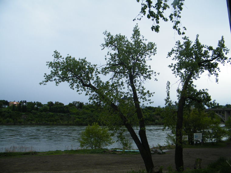 DSCF9454.JPG