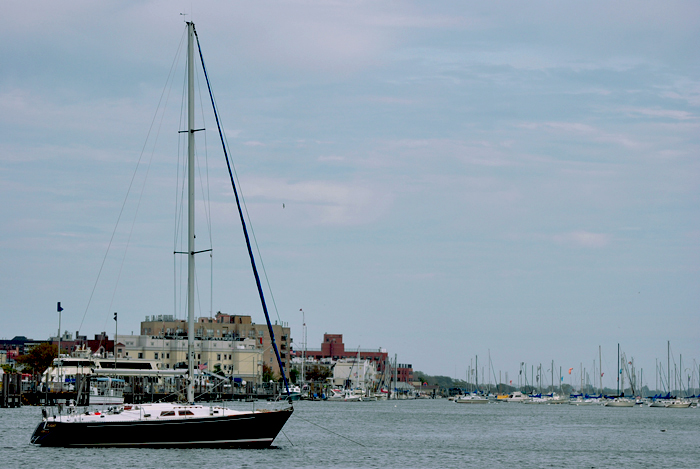 DSC_6600a.jpg