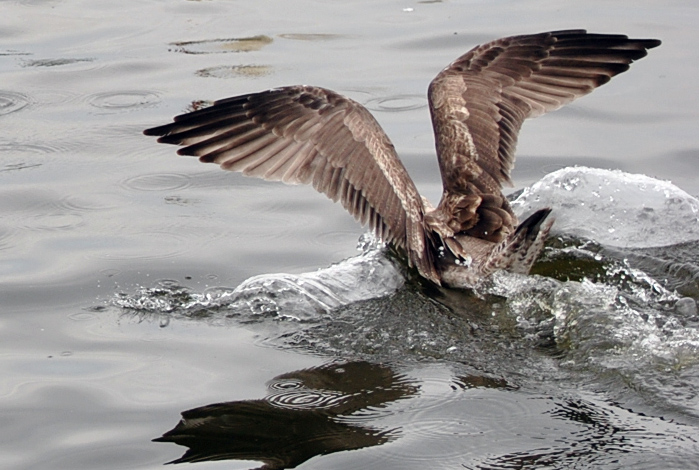 DSC_6555.JPG