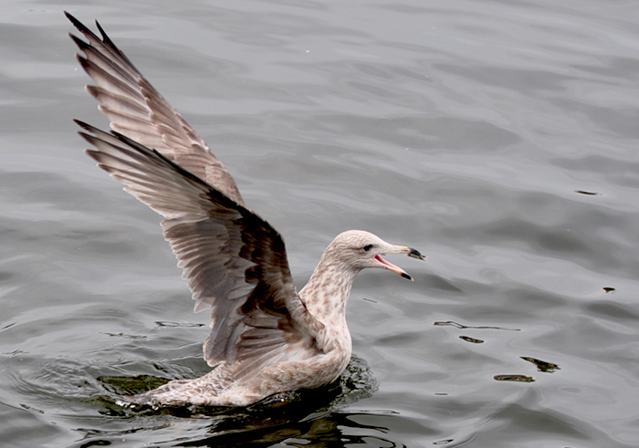 DSC_6549.JPG