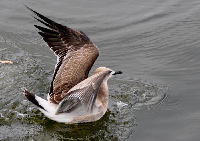 DSC_6512.JPG