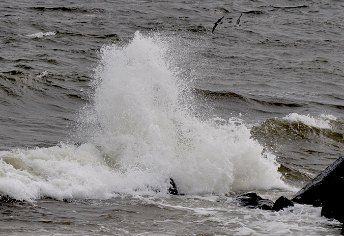 DSC_6974.JPG