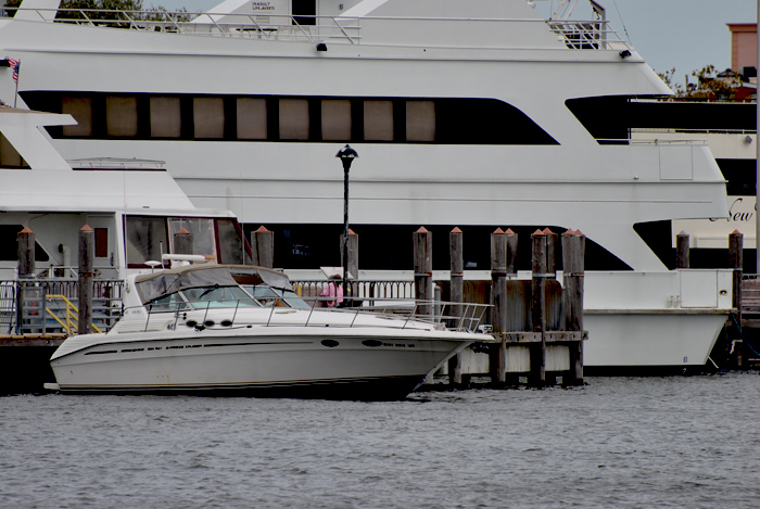 DSC_6601.JPG