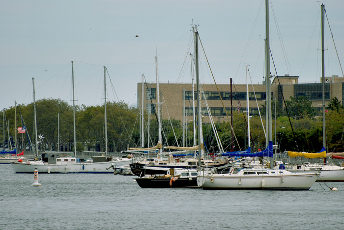 DSC_6599.JPG