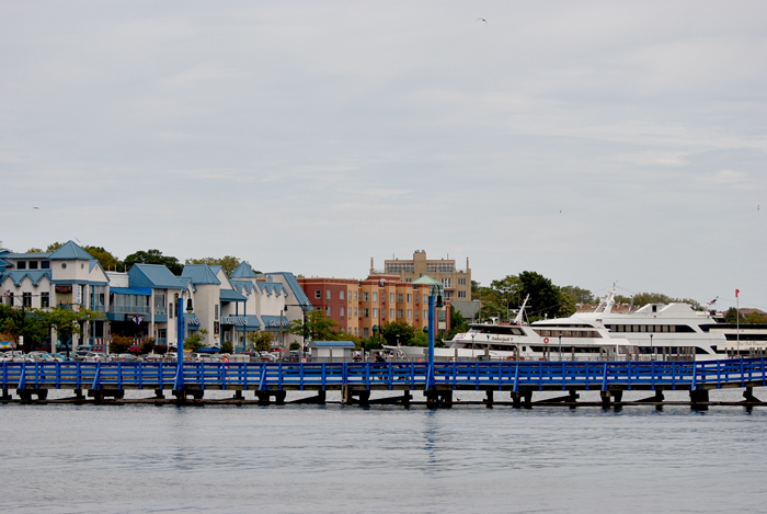 DSC_6575.JPG