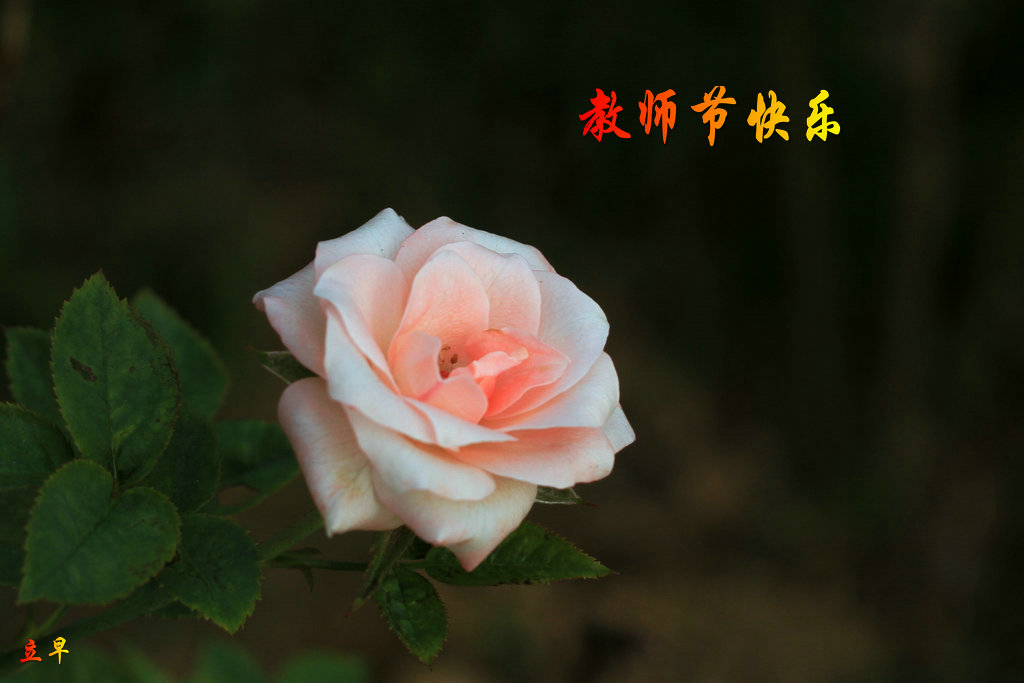 IMG_2514_.JPG