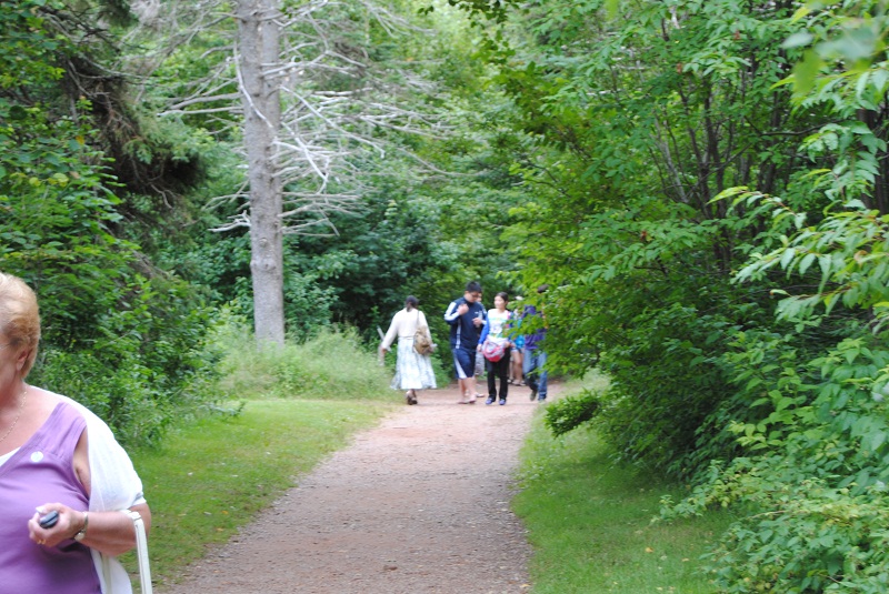 DSC_2347.JPG