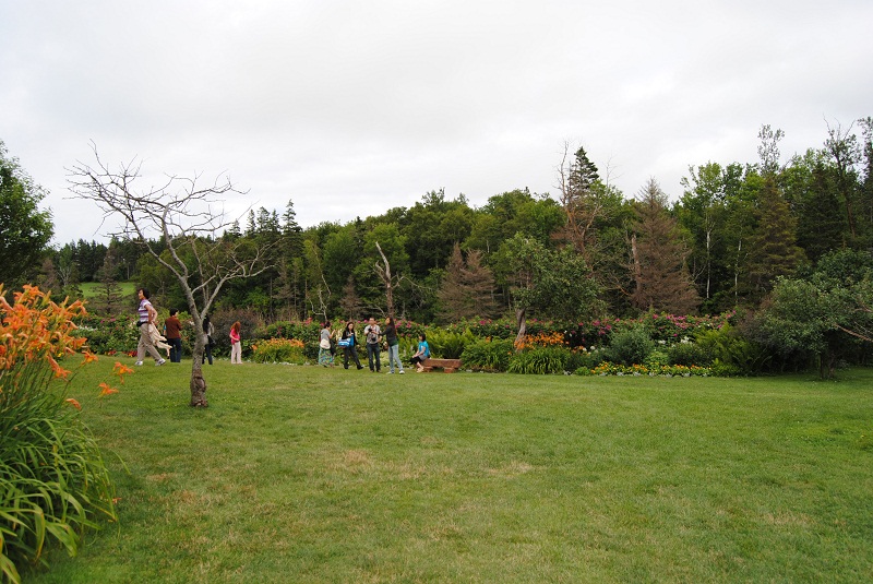 DSC_2349.JPG