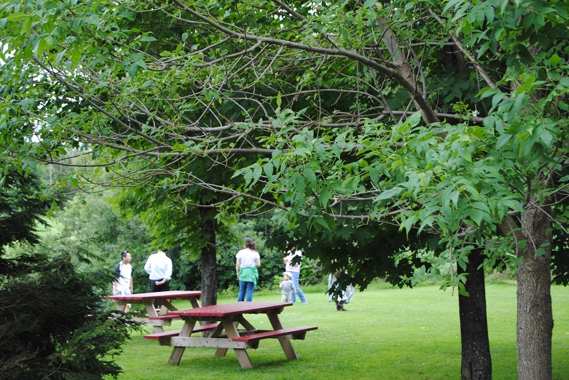 DSC_2345.JPG