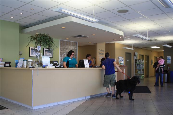 IMG_0140 (Small).JPG