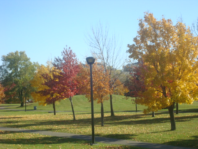 DSC01321.JPG