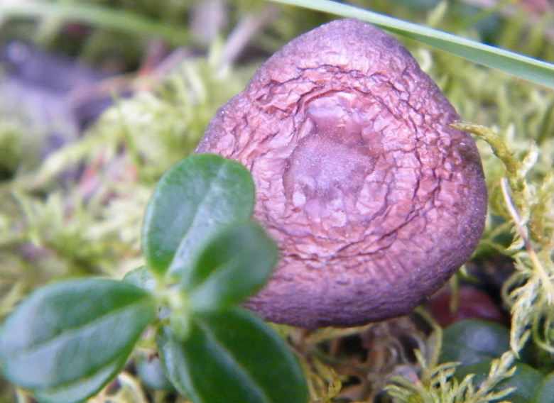 DSCF5800.JPG