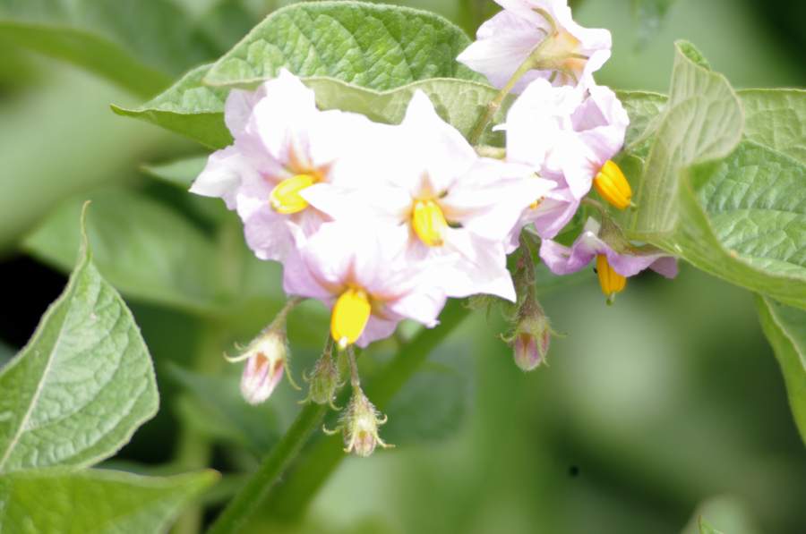 2010 827.jpg