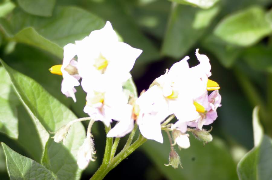2010 828.jpg