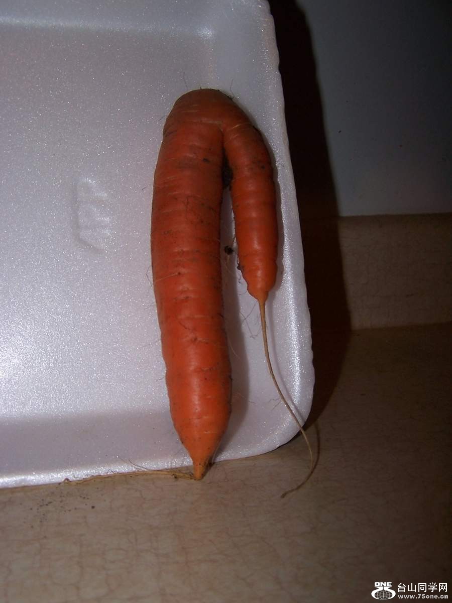 2010 1075.jpg