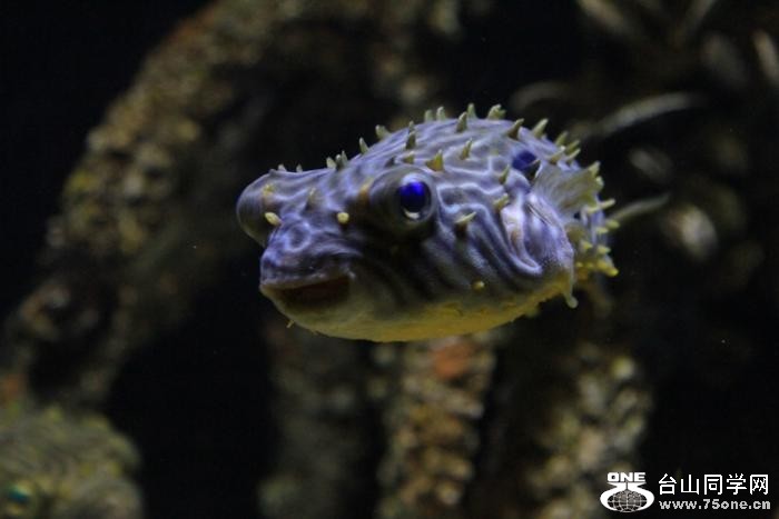 2_35462_3d980d098e1a008.jpg