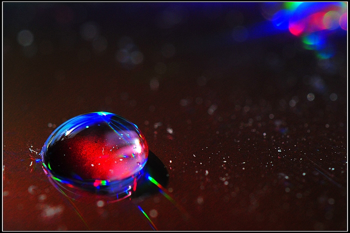 DSC_7107.JPG