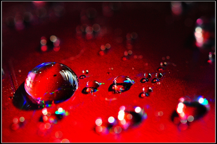 DSC_7052.JPG