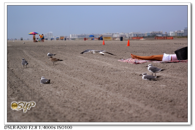 DSC04361a.jpg