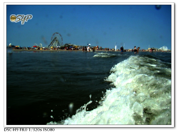 DSC05357a.jpg