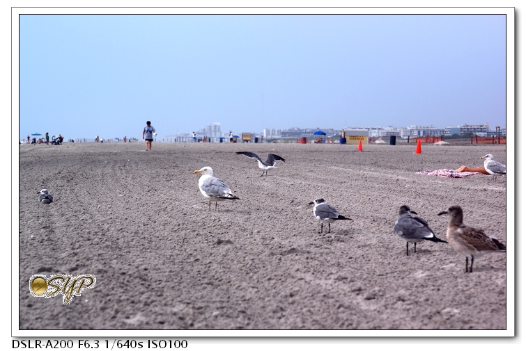 DSC04324a.jpg