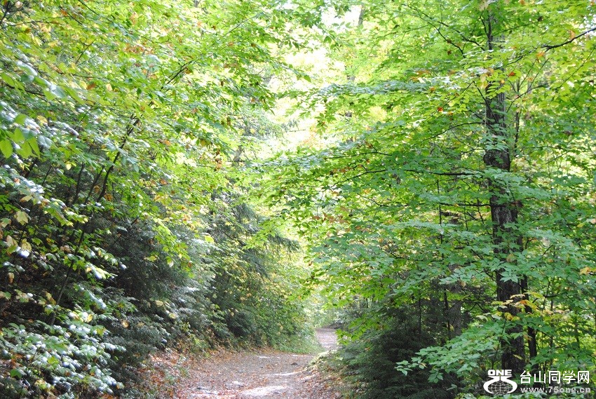 DSC_7797.JPG