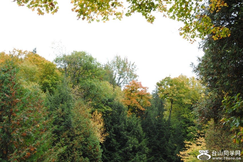 DSC_7787.JPG
