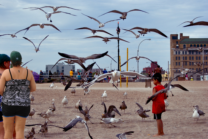 DSC_6830a.jpg