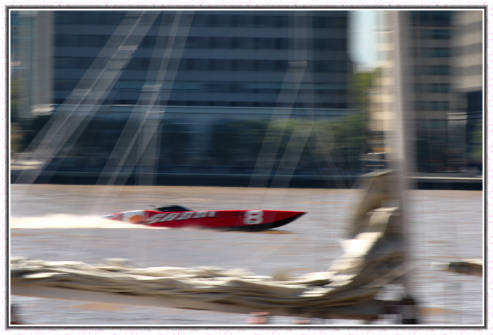 dsc_7565aa.jpg