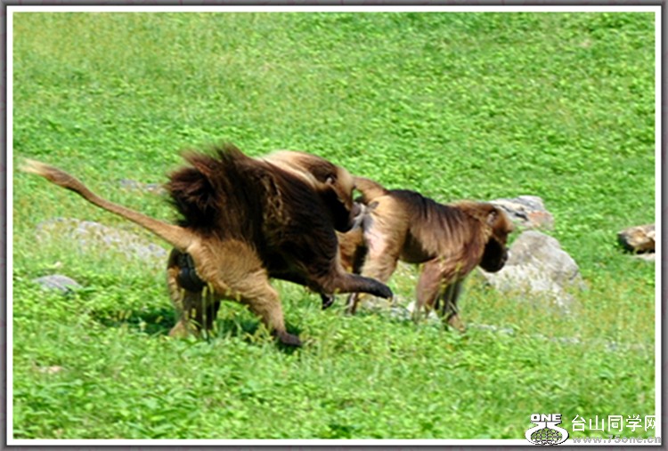 dsc_8630a.jpg