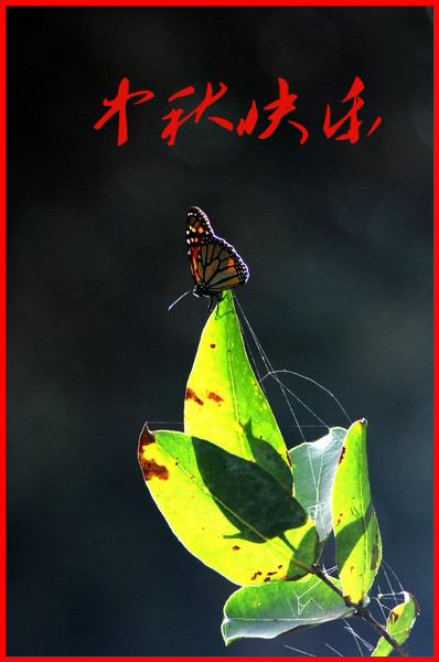 Copy of _RAY0094_conew1.jpg