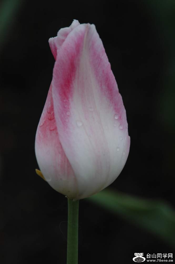 DSC_0095.JPG