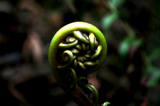 http_imgloadCAMAS12E.jpg