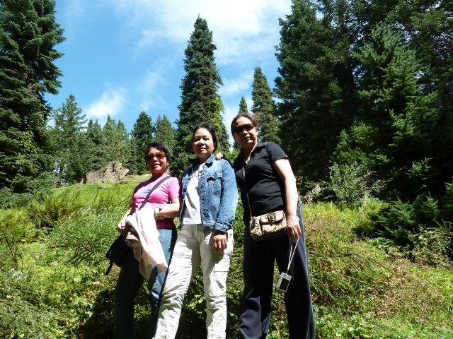 P1010311.jpg