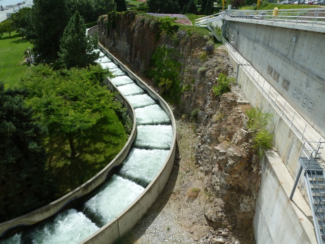 P1010321.jpg