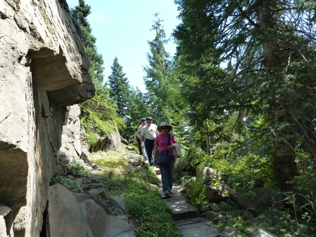 P1010307.jpg