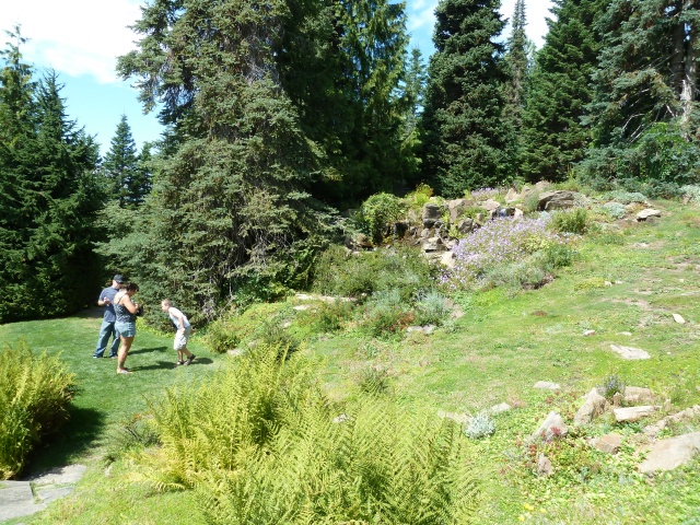 P1010301.jpg