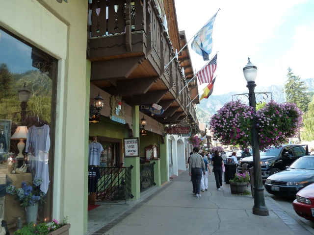 P1010284.jpg
