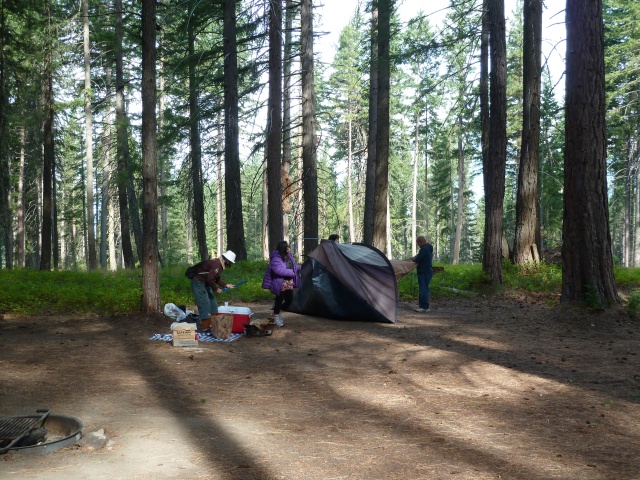 P1010233.jpg