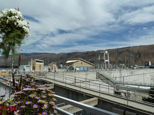 P1010320.jpg