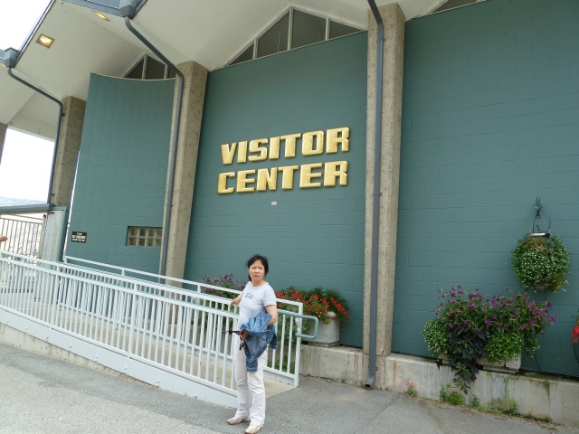 P1010317.jpg