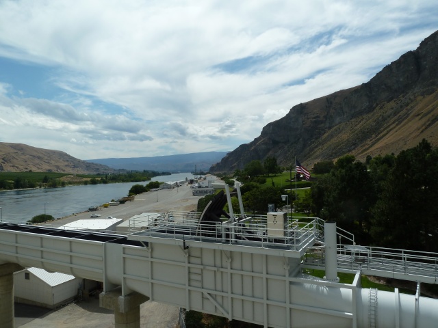 P1010322.jpg