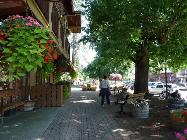P1010263.jpg