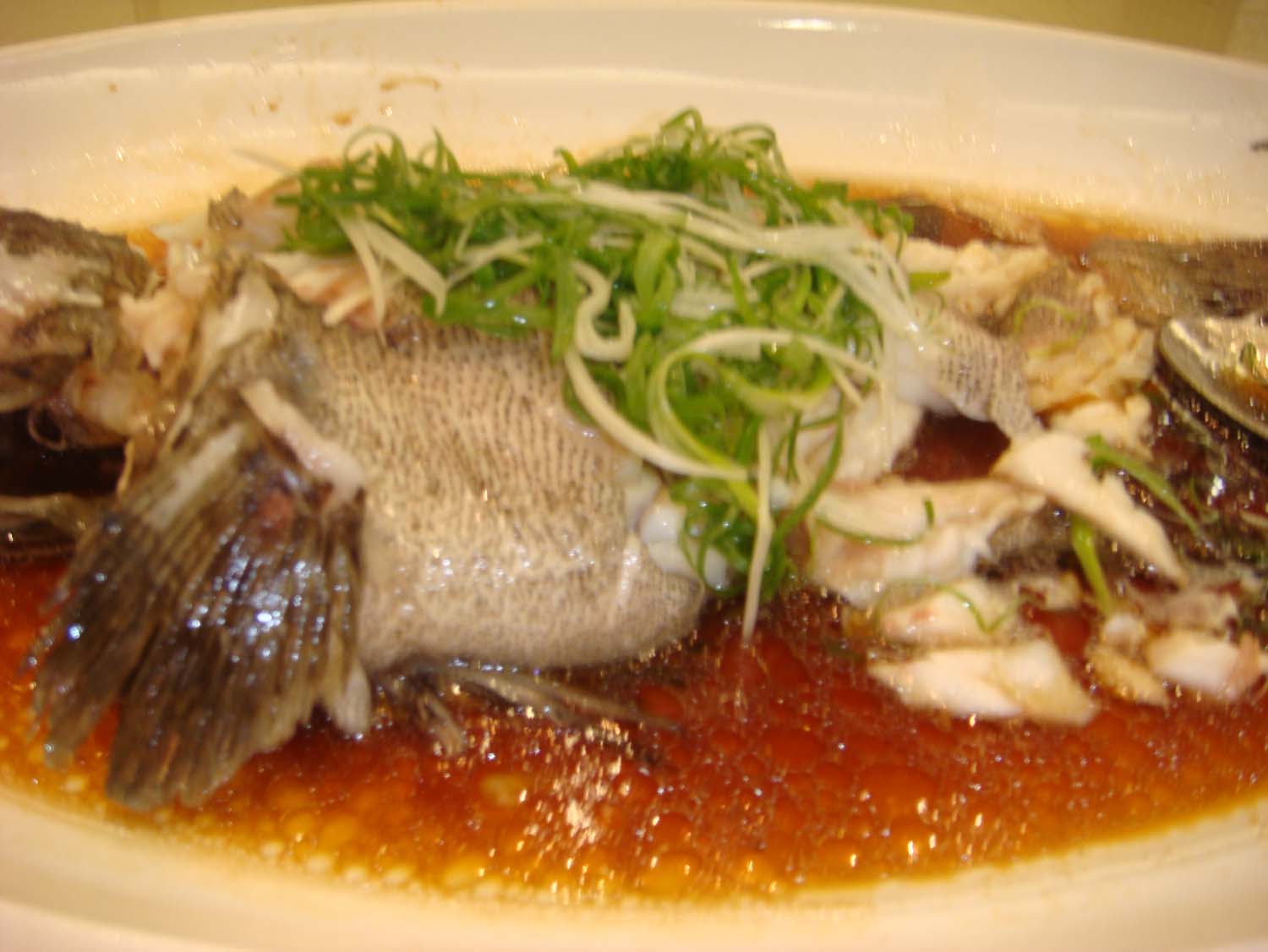 DSC04599.jpg