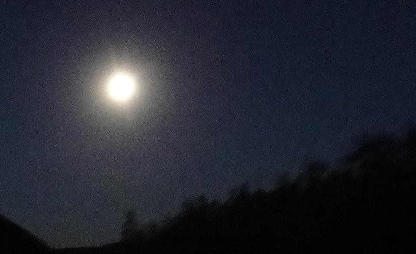 DSC03960.jpg